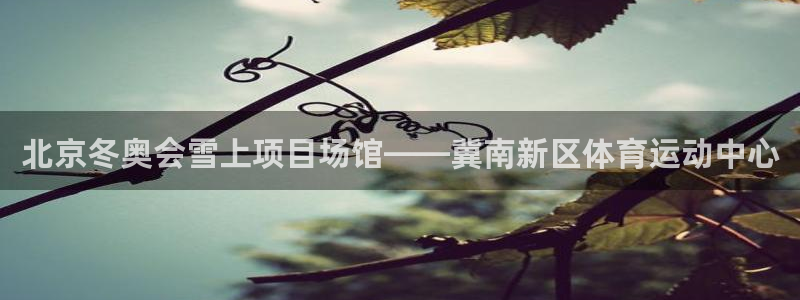 逐梦国际4注册