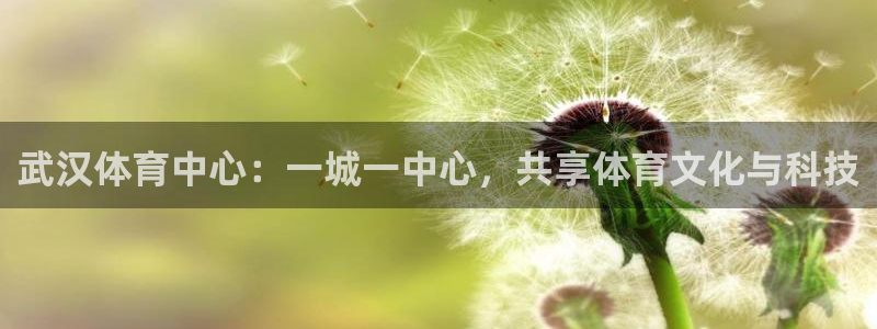 逐梦国际集团