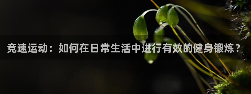 意昂包怎么样
