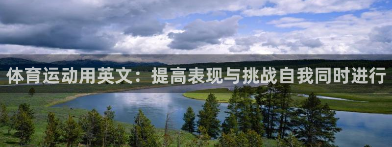 逐梦国际体育平台注册