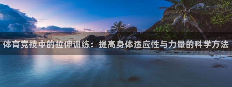 逐梦国际体育平台注册