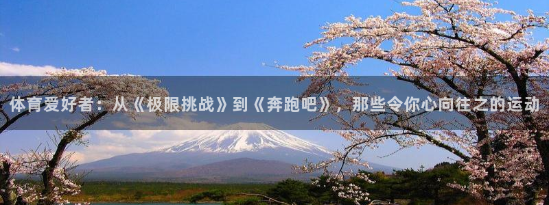 逐梦国际2平台注册