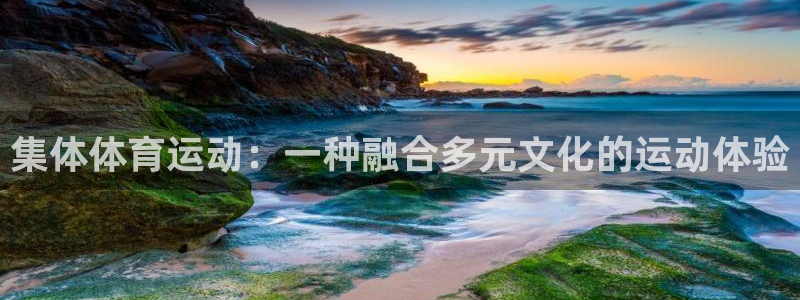 逐梦国际体育平台总代理