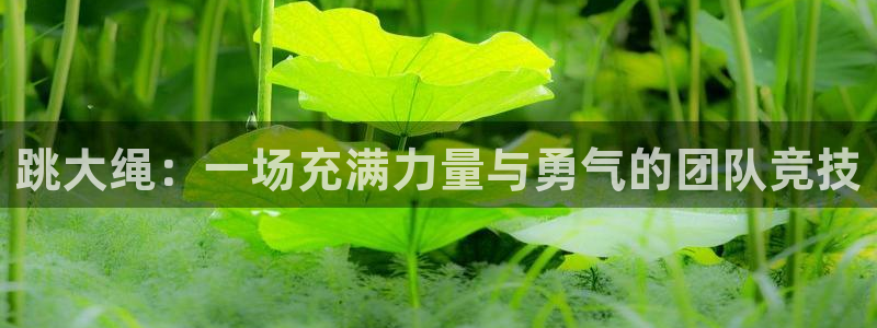 意昂4平台
