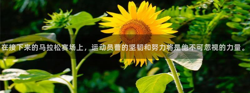逐梦国际体育凯捷平台主管