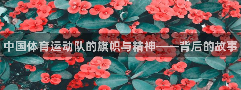 北京意昂科技有限公司