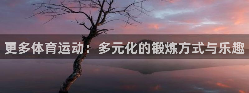 逐梦国际代理注册