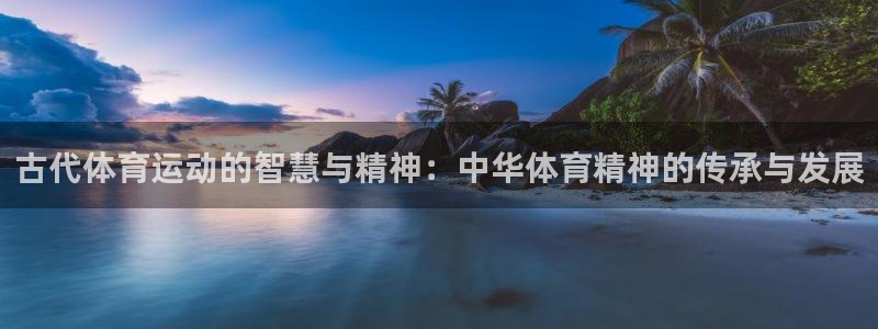 逐梦国际2平台登录